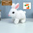 2025 Upgraded Interactive Bunny Toy. Hops, walks, talks, shakes ears. Plush Gift for Kids (Grey). - V.I.P Digital Presence