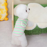 Teddy Schnauzer Pocket Tank Top - V.I.P Digital Presence