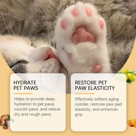 Pet Paw Care Stick for Moisturizing and Softening Paws to Prevent Dryness and Cracking - V.I.P Digital Presence