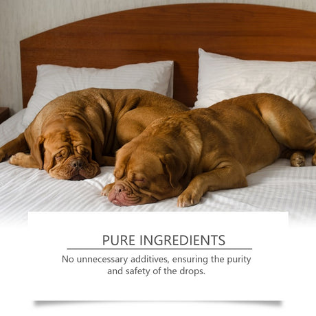 Dog Sleep Drops Pamper Dogs Sleeping At Night Pet Sleep Care Drops Supplement - V.I.P Digital Presence