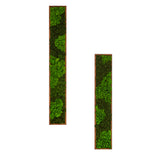 Rectangular Mixed Moss Wall Art, only the Medium