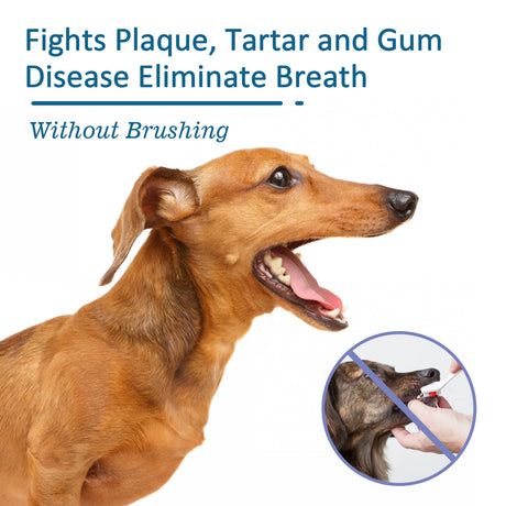 Pet Oral Cleaning Spray, Cats And Dogs Remove Tartar And Bad Breath Fresh Mouth Care Spray - V.I.P Digital Presence