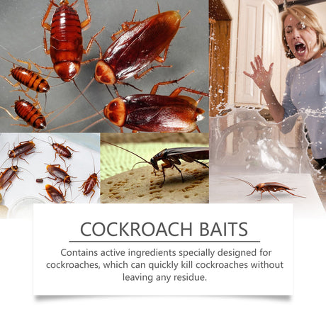 Cockroach Bait, Cockroach Home Type Effective Cockroach Kill Kitchen Cockroach Paste Cockroach Kill Glue Bait - V.I.P Digital Presence