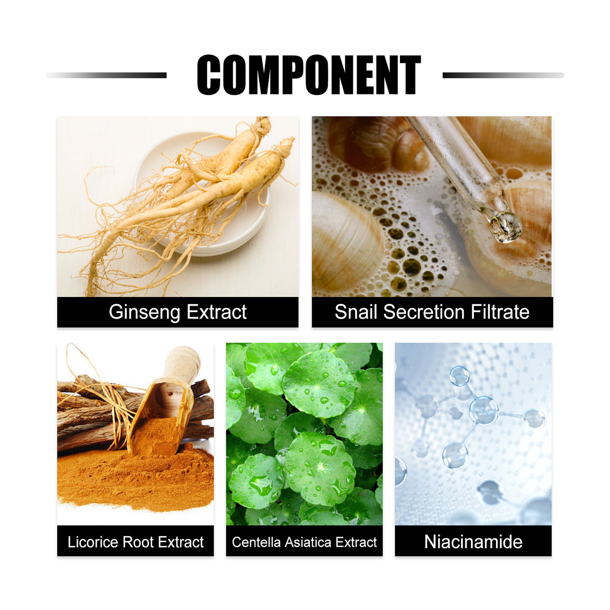 Ginseng Snail Essence, Brightening Skin Moisturizing And Repairing Dull Skin And Anti-wrinkle Essence