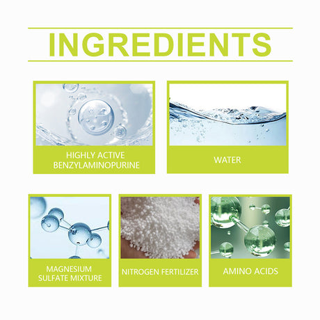 Plant growth Solution potted green leaf lawn flower plant hair root supplement fertilizer nutrient solution - V.I.P Digital Presence