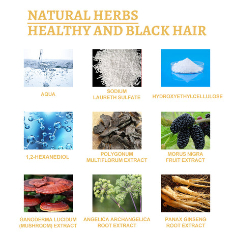 Black Ganoderma Lucidum White Black Black Hair Nourishing Hair Nourishing Hair Moisturizing Hair Repair Massage Essence - V.I.P Digital Presence