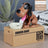 Automated Plastic Coin Bank in Panda/Cat Shape - Electronic Deposit, Savings for Kids, Great Gift - V.I.P Digital Presence