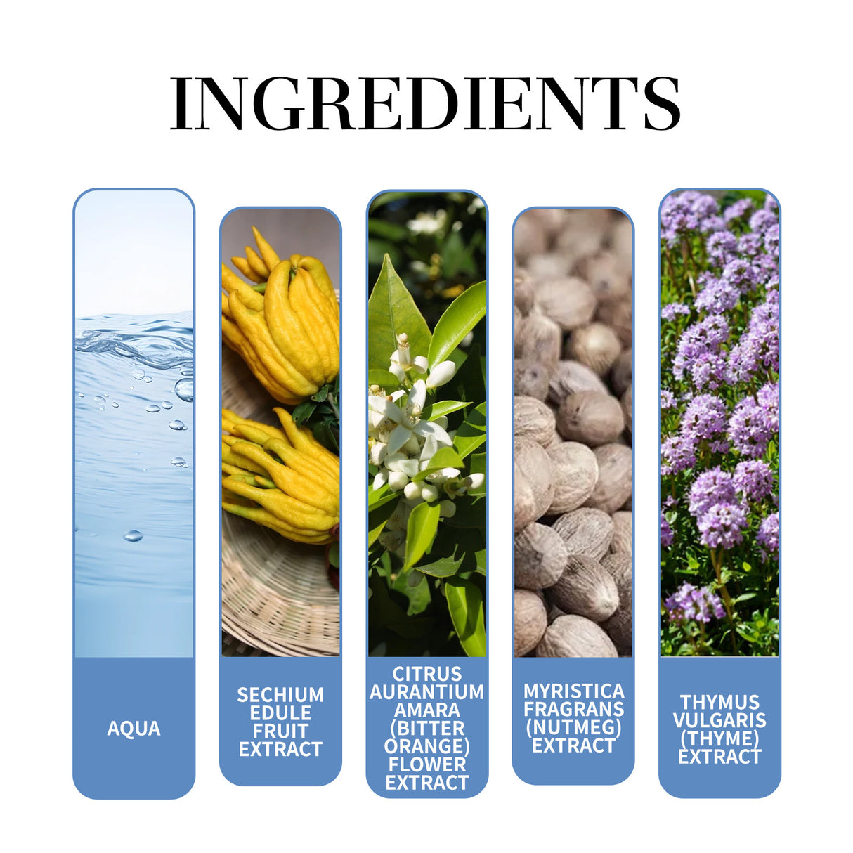 Men's Perfume Bergamot Natural Light Fragrance Fresh Charm Refreshing Atmosphere Carry Men's Dating Perfume - V.I.P Digital Presence