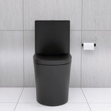 Matte Black Elongated One Piece Toilet Dual Flush 1.1/1.6 GPF Water Saving Map 1000g,Matte Black - V.I.P Digital Presence