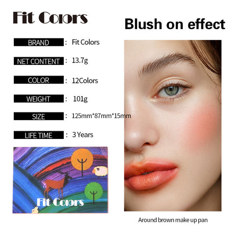 Fit Colors 12-Color Face Comprehensive Makeup Powder Palette Matte Pearlescent Earth Color Blush Eyebrow Powder Eye Shadow - V.I.P Digital Presence