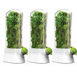 Vanilla vegetable fresh-keeping box pressure resistant fresh-keeping device creative fresh-keeping cup - V.I.P Digital Presence