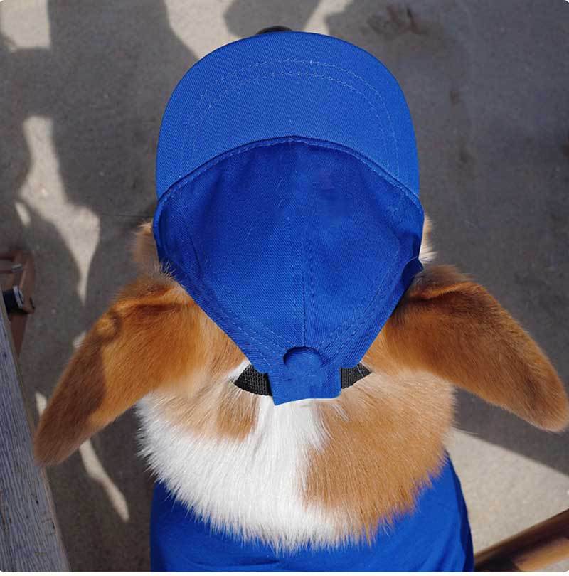 Pet Dog Outdoor Photography Leisure Sunshade Hat with Ear Holes Adjustable Corgi Baseball Cap - V.I.P Digital Presence