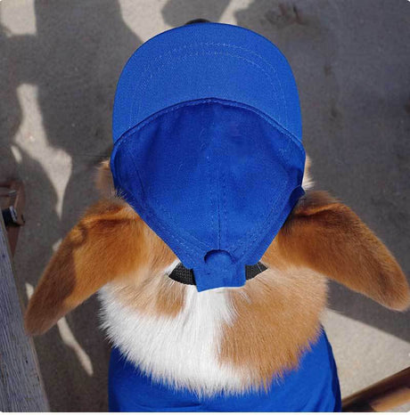 Pet Dog Outdoor Photography Leisure Sunshade Hat with Ear Holes Adjustable Corgi Baseball Cap - V.I.P Digital Presence