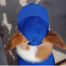 Pet Dog Outdoor Photography Leisure Sunshade Hat with Ear Holes Adjustable Corgi Baseball Cap - V.I.P Digital Presence