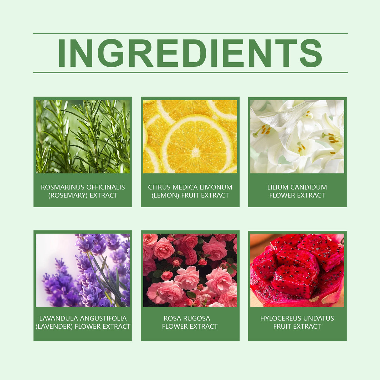 Fragrant Shower Ball, Plant-Scented Shower Ball Cleans And Moisturizes The Body With A Colorful And Fragrant Shower Ball