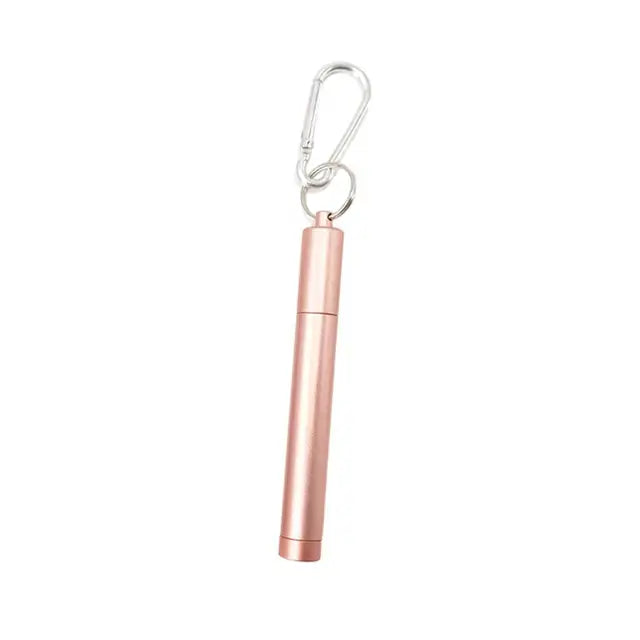 1 Set Reusable Telescopic Straw Set Portable Stainless Steel Easy To Clean Straw With Carry Case - V.I.P Digital Presence