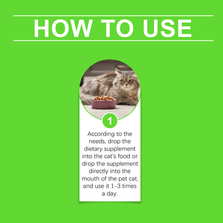 Cats With Probiotic Drops, Care For Cats Health And Vitality Care Absorb Nutritional Supplements - V.I.P Digital Presence