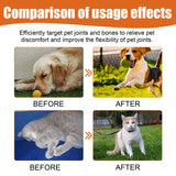 Pet Bee Venom Oil, Joint Care For Cats And Dogs Relieves Joint Pain For Pets Pet Care Water - V.I.P Digital Presence