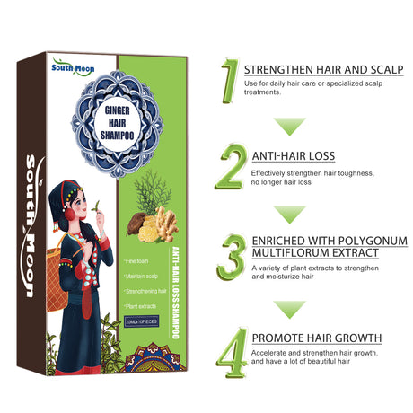 Ginger Care Shampoo Scalp Cleansing, Anti-Break Nourishing Root Strengthening Shampoo - V.I.P Digital Presence