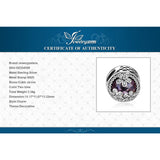 JewelryPalace Authentic 925 Sterling Silver Beads Cubic Zirconia Beads Charms fit Bracelets Bangles Ladies Girls DIY Jewelry - V.I.P Digital Presence