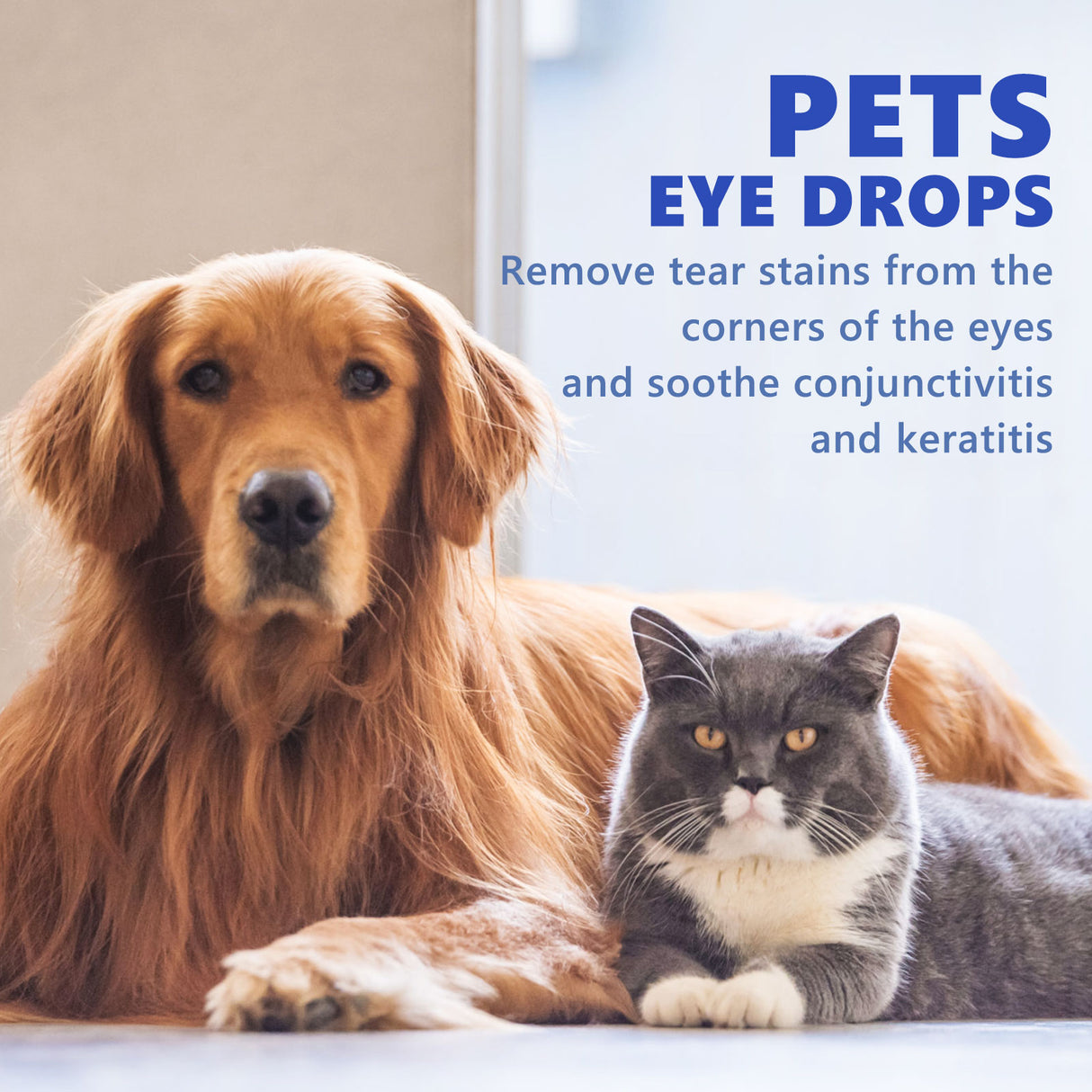 Pet Eye Drops, Cats And Dogs Eye Cleaning Care Pet Eye Wash Tear Stain Remover - V.I.P Digital Presence