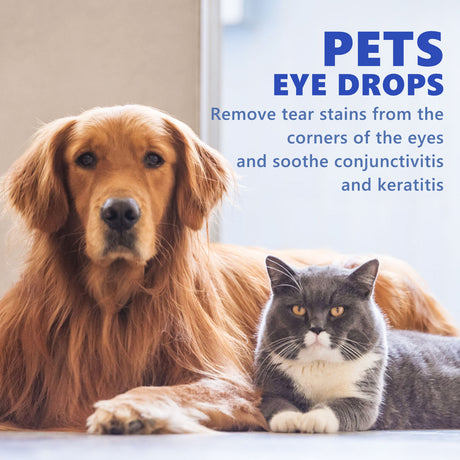 Pet Eye Drops, Cats And Dogs Eye Cleaning Care Pet Eye Wash Tear Stain Remover - V.I.P Digital Presence