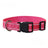 Nylon Dog Collar and Leash Set Pet Collars Leash for Small Medium Large Dogs Dog Accessories for Small Dogs - V.I.P Digital Presence