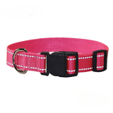 Nylon Dog Collar and Leash Set Pet Collars Leash for Small Medium Large Dogs Dog Accessories for Small Dogs - V.I.P Digital Presence