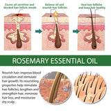 Multi-Effect Rosemary Essential Oil, Strengthens Hair Moisturizes And Thickens Hair And Skin Care Multi-effect Essential Oil - V.I.P Digital Presence