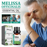 Melissa Officinalis Essential Oil, Moisturizing Massage Skin Body Care Improve Memory Melissa Officinalis Essence - V.I.P Digital Presence