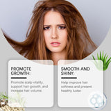 Moringa Seed Hair Care Essential Oil Hydrates, Moisturizes And Brightens Hair Care To Reduce Frizz And Smooth Hair - V.I.P Digital Presence