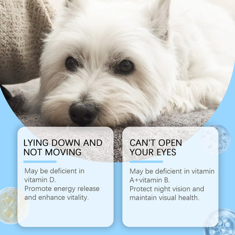 Multivitamin Tablets For Dogs, Cats, Dogs And Pets Absorb Nutritional Health Supplements - V.I.P Digital Presence