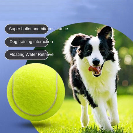Dog Toy Rubber Elastic Tennis Ball Small and Medium sized Dog Bite Dog Toy - V.I.P Digital Presence