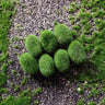 Mossy Stone Artificial Green Stone Mossy Rock Flower Arrangement Material - V.I.P Digital Presence