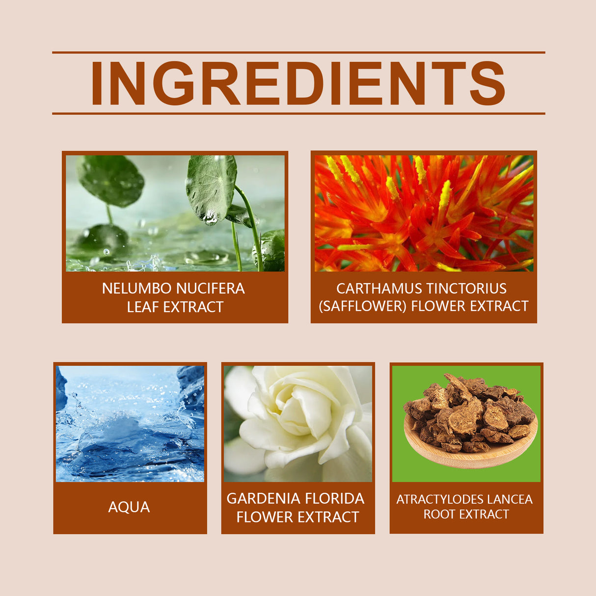 Body Care Massage Essence, Moisturizing Gentle And Firming Body Care Massage Essential Oil - V.I.P Digital Presence