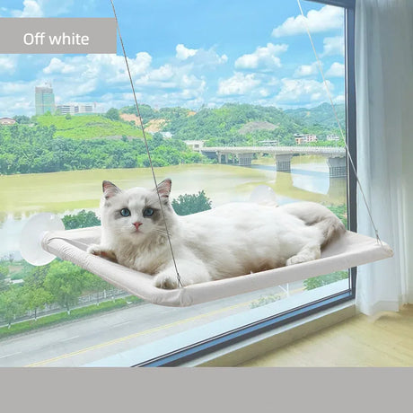 Upgrade cat hammock four season pet bed suction cup hanging cat bed folding window sill cat bed pet supplies - V.I.P Digital Presence