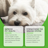 Dietary Supplements For Dogs, To Promote Pet Health Pet Dogs Special Dietary Supplements - V.I.P Digital Presence