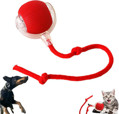 Bite resistant automatic cat teasing ball cat toy ball self fun and stress relieving tool with rope pet supplies jumping ball - V.I.P Digital Presence
