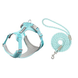 Whippet Anti-Slip Dog Harness Lightweight Dog Harness Breathable and Durable Adjustable Vest for Medium-Sized Dog Greyhounds - V.I.P Digital Presence