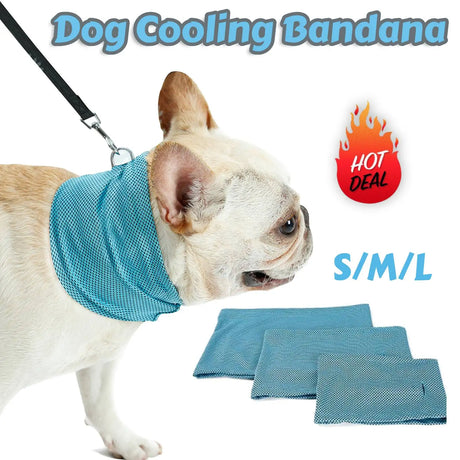 Dog Cooling Bandana Ice Pet Cooling Collar for Hiking Traveling Pet Supplies - V.I.P Digital Presence