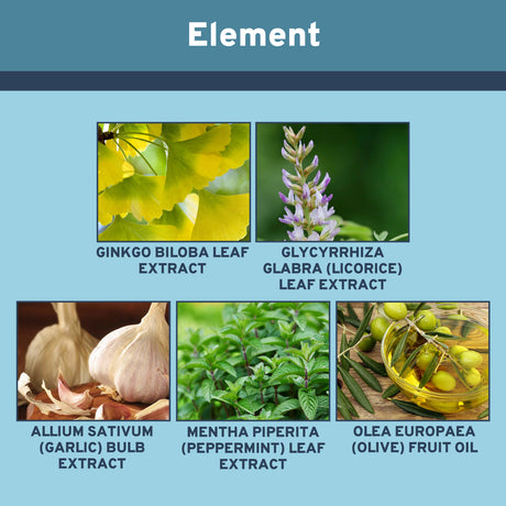 Ear Care Serum, Relieve Dizziness Tinnitus Back Ear Pain Ear Hearing Discomfort Clean Earwax Ear Drops - V.I.P Digital Presence