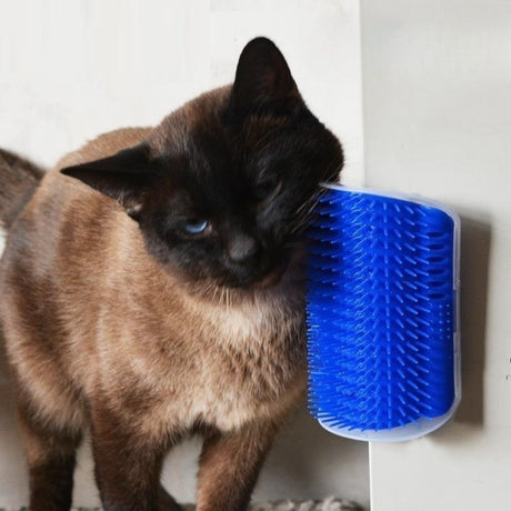 New four-color wall corner brush with free cat mint powder skin friendly cat massager cat comb - V.I.P Digital Presence