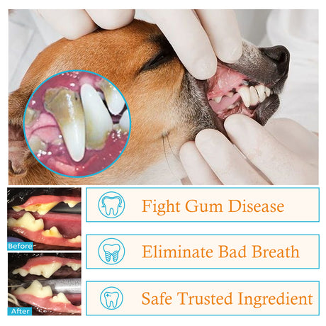 Dog Cat Tooth Cleaning Finger Set, Pet Breath Fresh Remove Tartar Stones Teeth Clean Finger Set - V.I.P Digital Presence