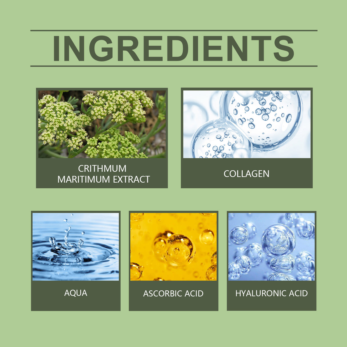 Sea Fennel Collagen Essence, Moisturizing And Repairing Facial Skin Daily Skin Care Moisturizing Essence - V.I.P Digital Presence