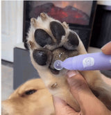 Pet Paw Moistening