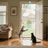 FlyChase Cat Toy - V.I.P Digital Presence