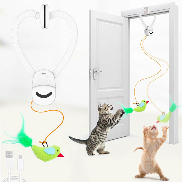 FlyChase Cat Toy - V.I.P Digital Presence