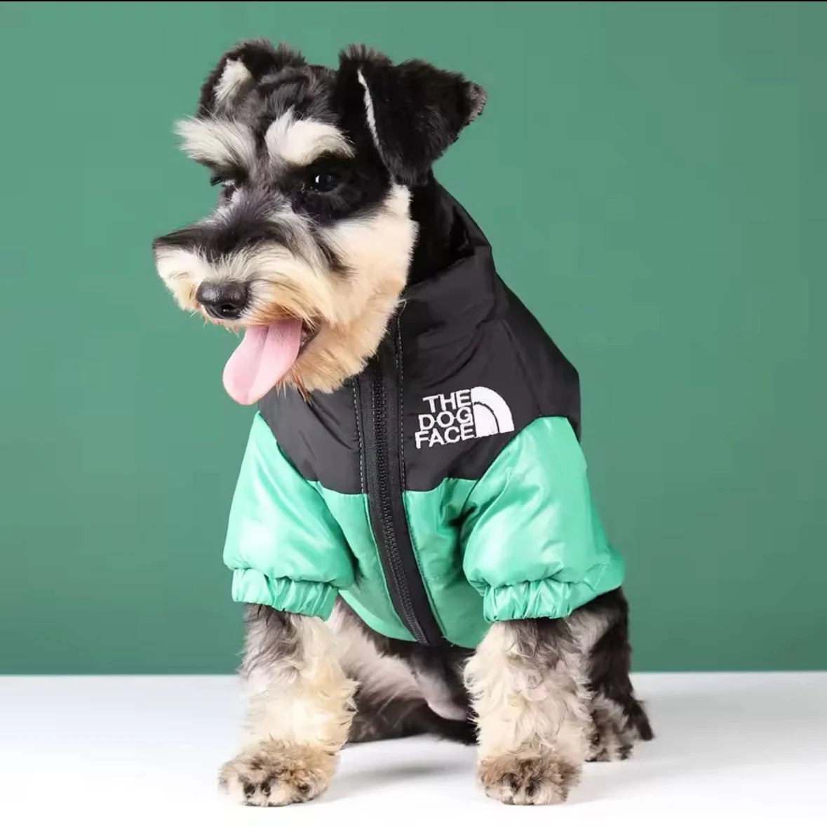 Puffer Dog Jacket