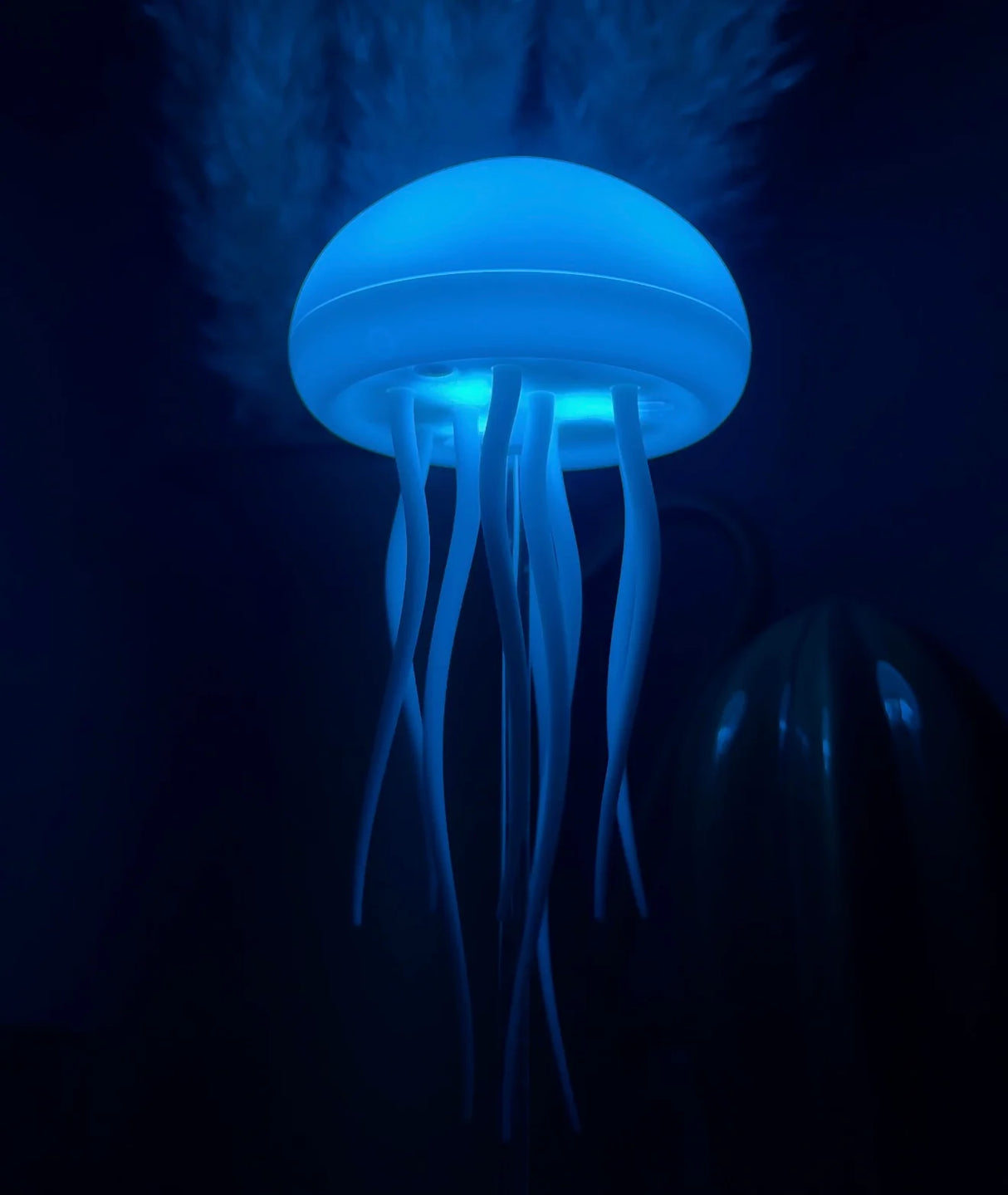 Jelly Glow