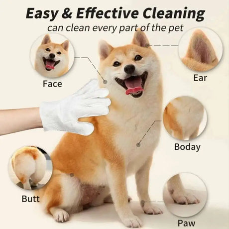Fur Ease Wipes - V.I.P Digital Presence
